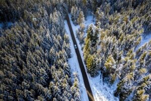 landscape picture of snowy forest with a road separating the forest