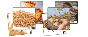 2026 Fall Literacy Project activity cards graphic