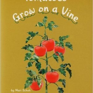 Tomatoes Grow on a Vine
