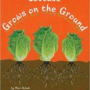 Lettuce Grows on the Ground
