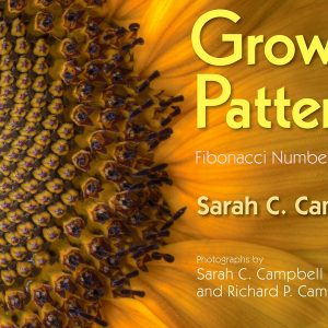 Growing Patterns - Fibonacci Numbers