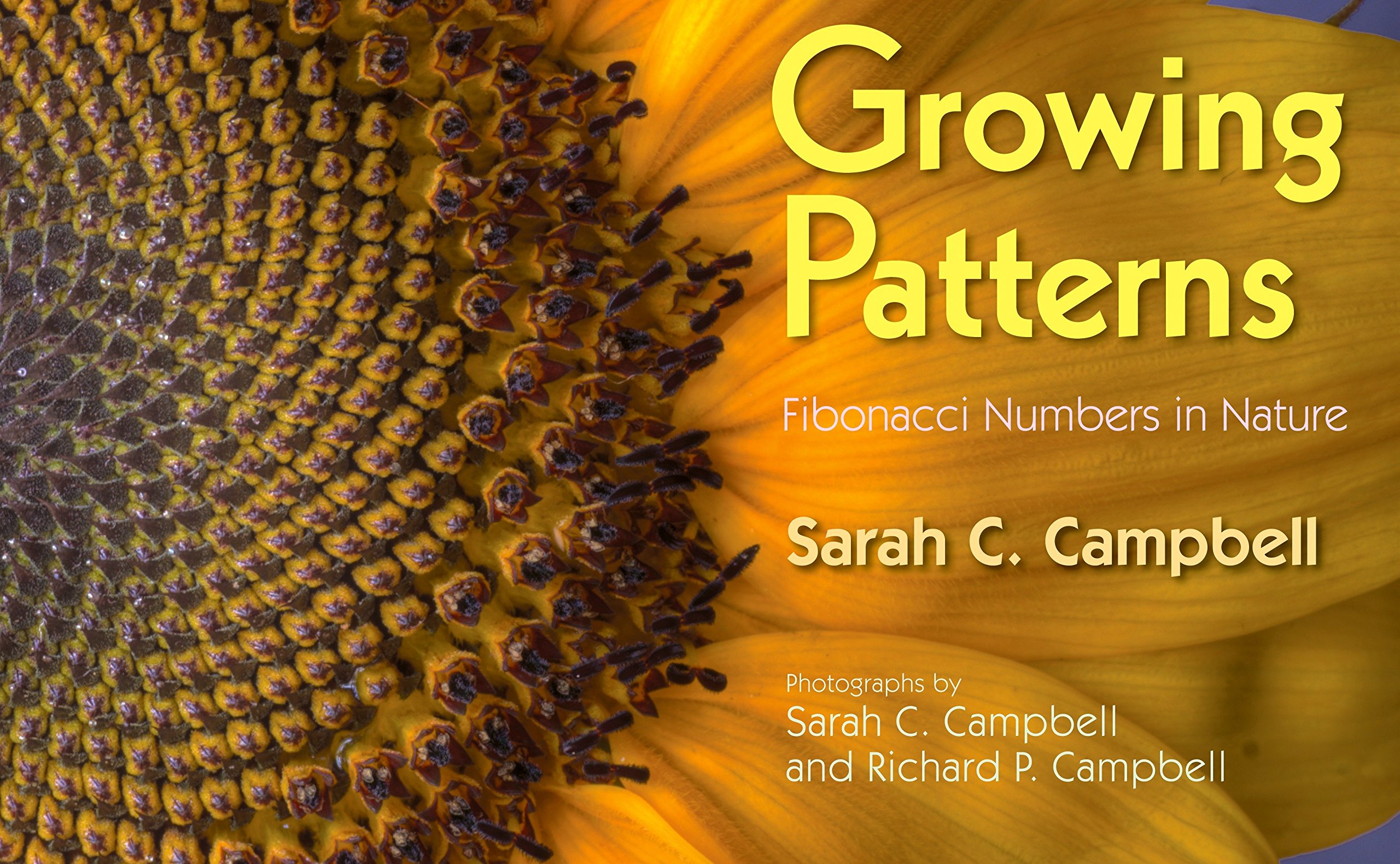 Growing Patterns - Fibonacci Numbers