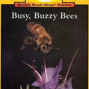 Busy