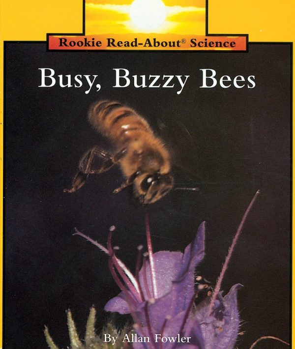 Busy