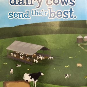Dairy Cows Send Their Best