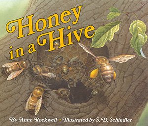 Honey in a Hive