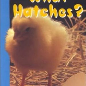What Hatches?