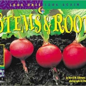 Plant Stems and Roots