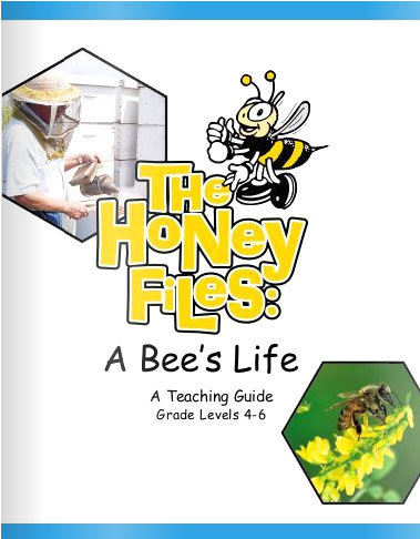 The Honey Files - A Bee's Life Teacher Guide