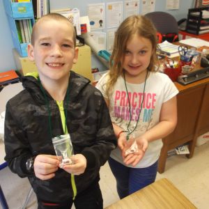 Living Necklace Kit
