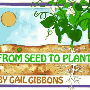 From Seed to Plant