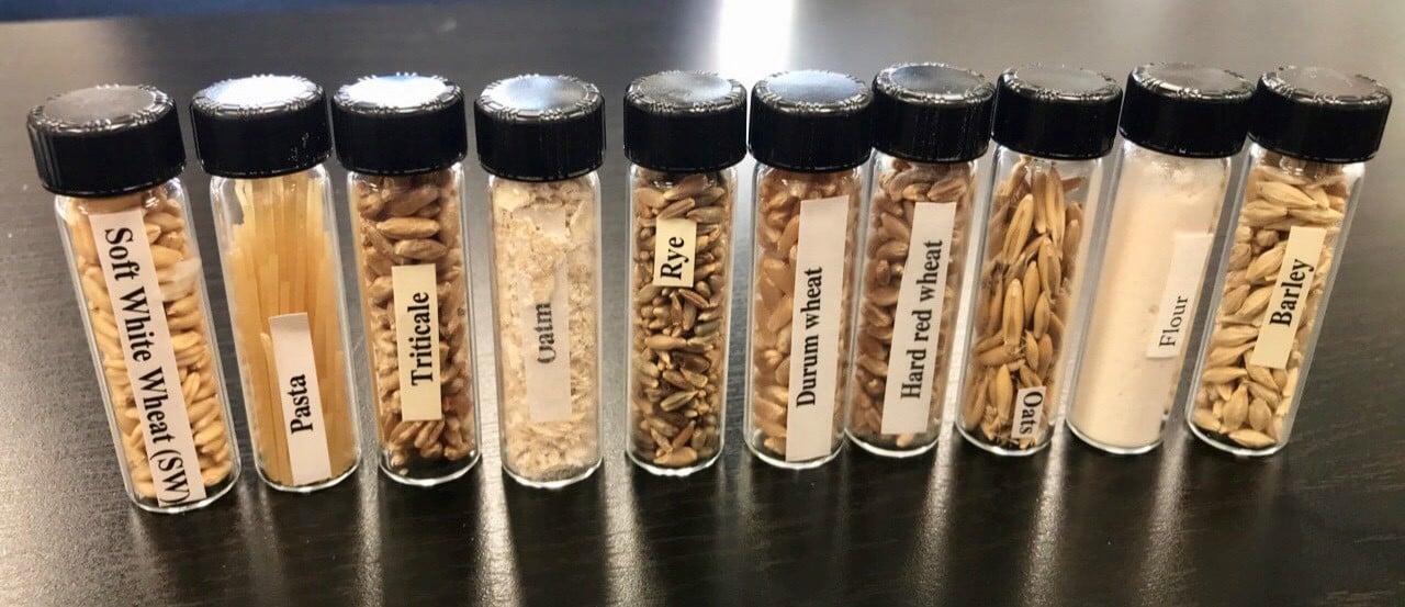 Grain Processing Samples