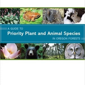 A Guide to Priority Plant and Animal Species In Oregon Forests