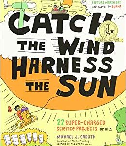 Catch the Wind and Harness the Sun