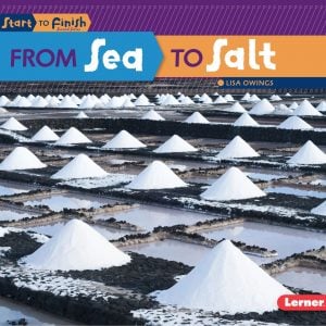From Sea to Salt