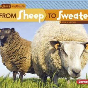 From Sheep to Sweater