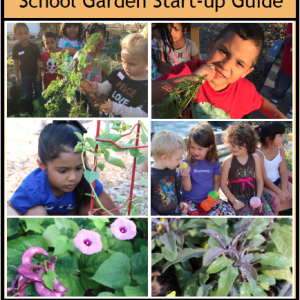 SFC's Grow Local School Garden Start-Up Guide
