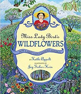 Miss Lady Bird's Wildflowers