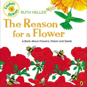 The Reason for a Flower