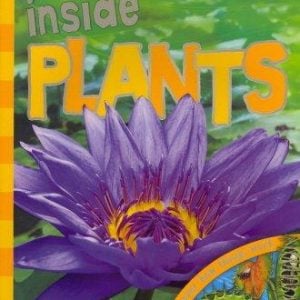 Inside Plants