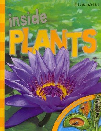 Inside Plants