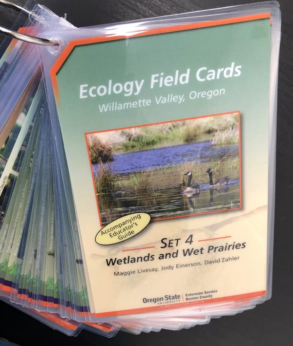 Ecology Field Cards- Set 4