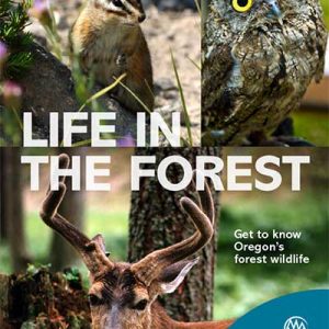 Life in the Forest: Get to know Oregon's forest wildlife