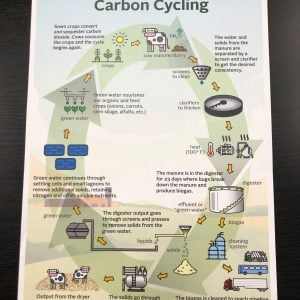 Carbon Cycling Poster