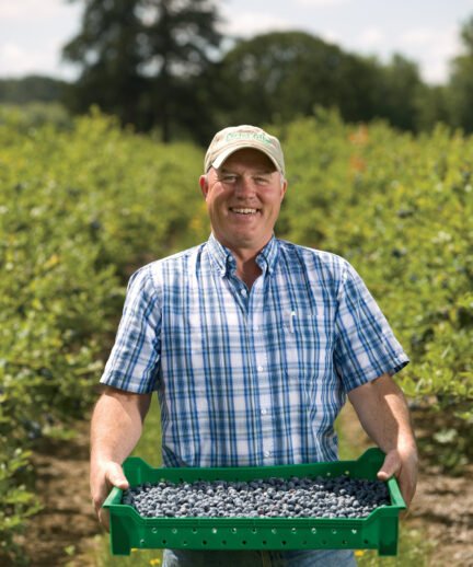 Farmer standing in front of blueberry bushes holding a bin of blueberries