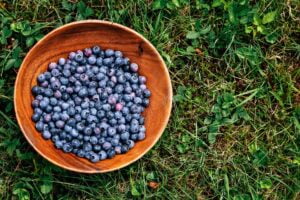 blueberries in a wooden bowl on the grass