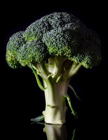 closeup picture of calabrese broccoli