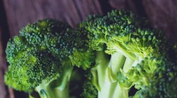 close up picture of calabrese broccoli florets