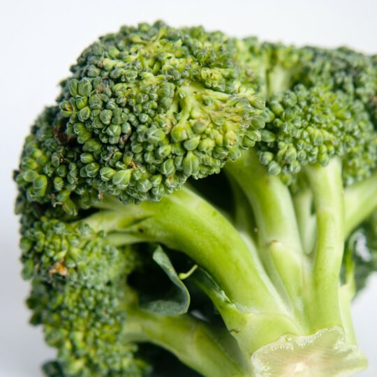 close up of broccoli florets