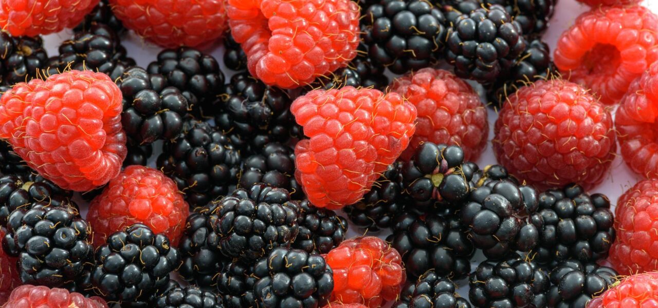 close up of red raspberries and blackberries