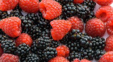 close up of red raspberries and blackberries