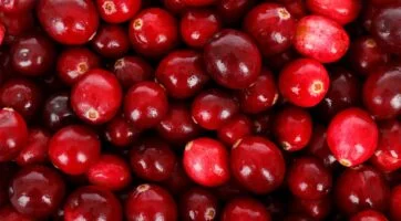 close up image of ripe, red cranberries