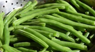 close up of green beans in a colander