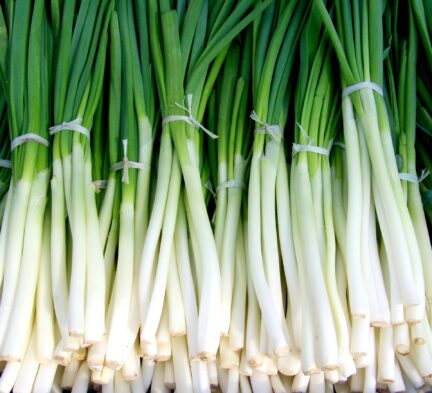 closeup picture of green onions in a pile