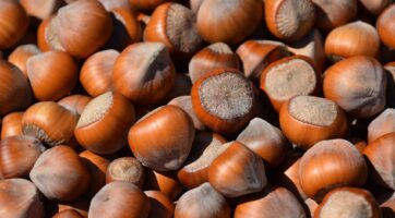 close up picture of a lot of hazelnuts in a pile