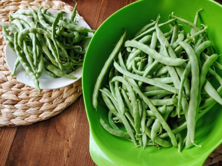 picture of Kentucky wonder green beans in a bowl and on a plate