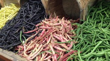 picture of multiple colors and types of green beans