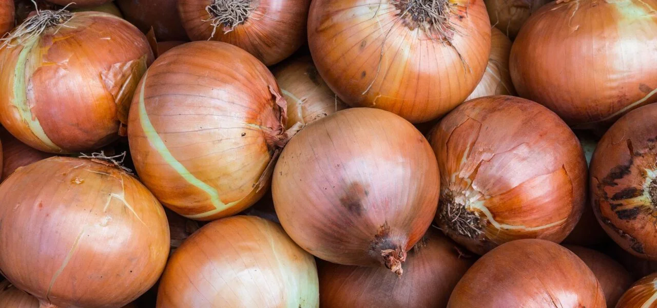 picture of yellow onions in a pile