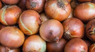 picture of yellow onions in a pile
