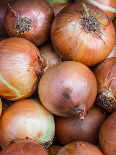 picture of yellow onions in a pile