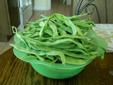 picture of romano green beans in a bowl