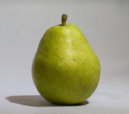 Closup of a Green Anjou Pear