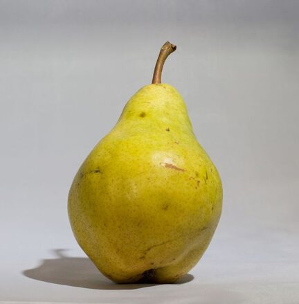 Closeup of Yellow Bartlett Pear