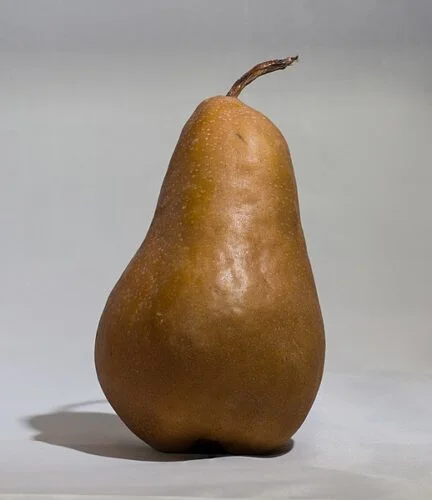 Closeup of Brown Bosc Pear