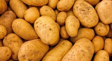 closeup of white potatoes