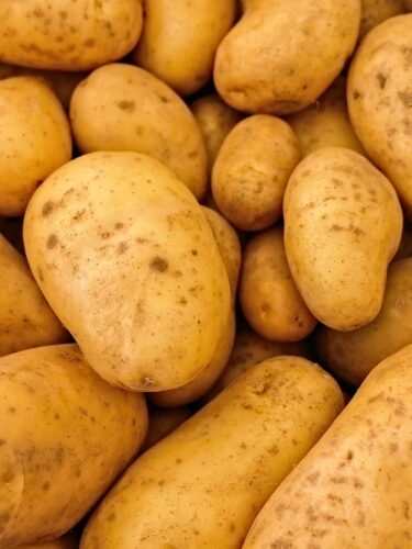closeup of white potatoes